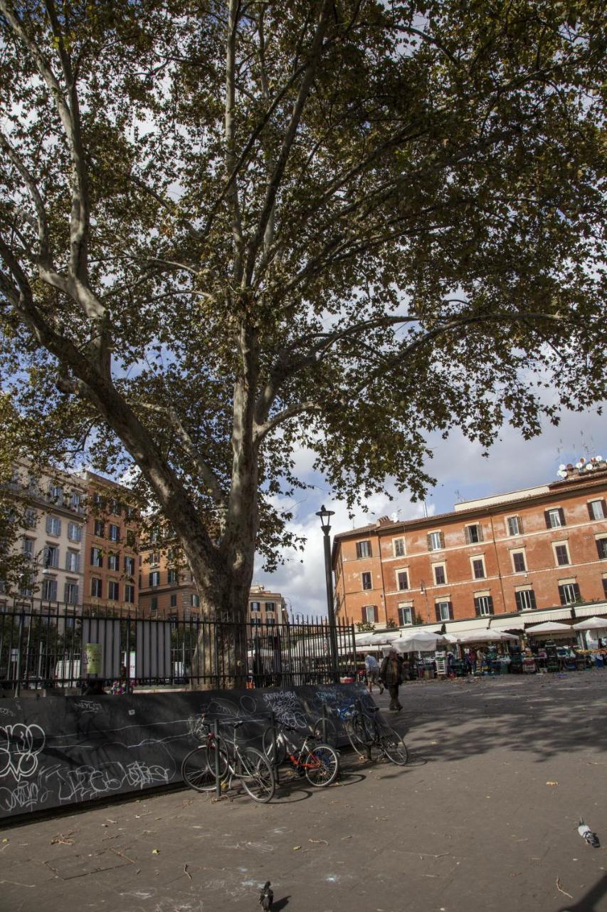 Trasteverome45 2*